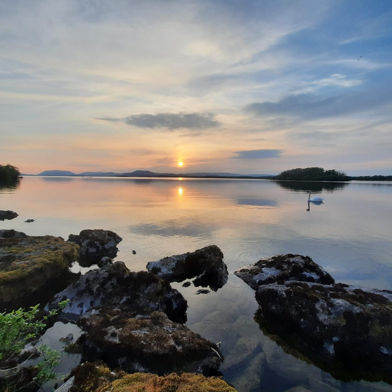 Expanded States of Consciousness